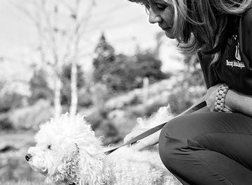 Animal Hospital in Murray KY | Murray Animal Hospital Animal Hospital in Murray KY | Murray Animal Hospital