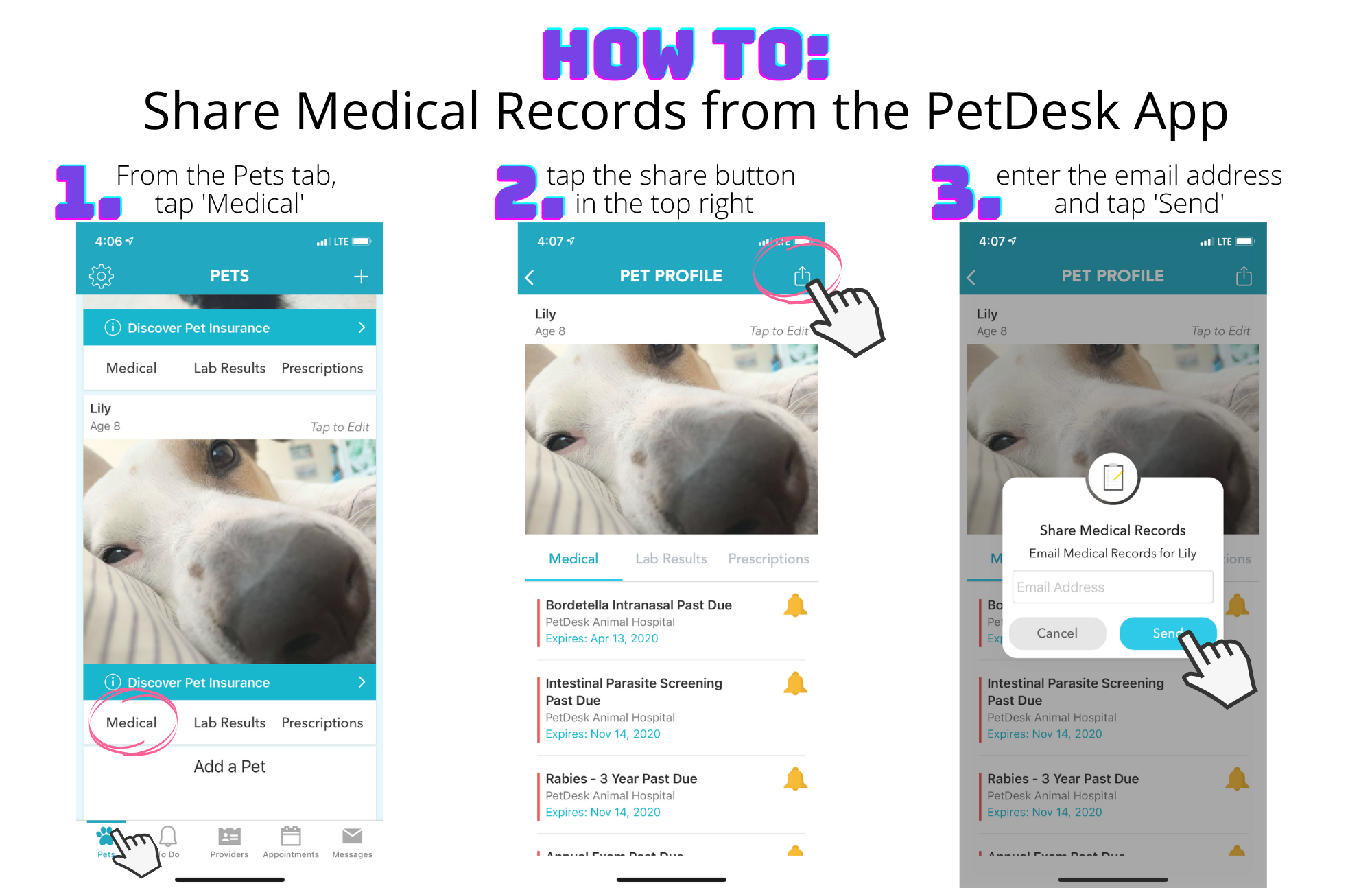 How-To-Share-Medical-Records-from-App.png